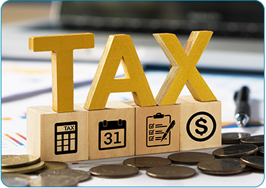 Flexible Tax Options