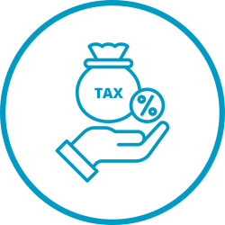 Flexible Tax Options